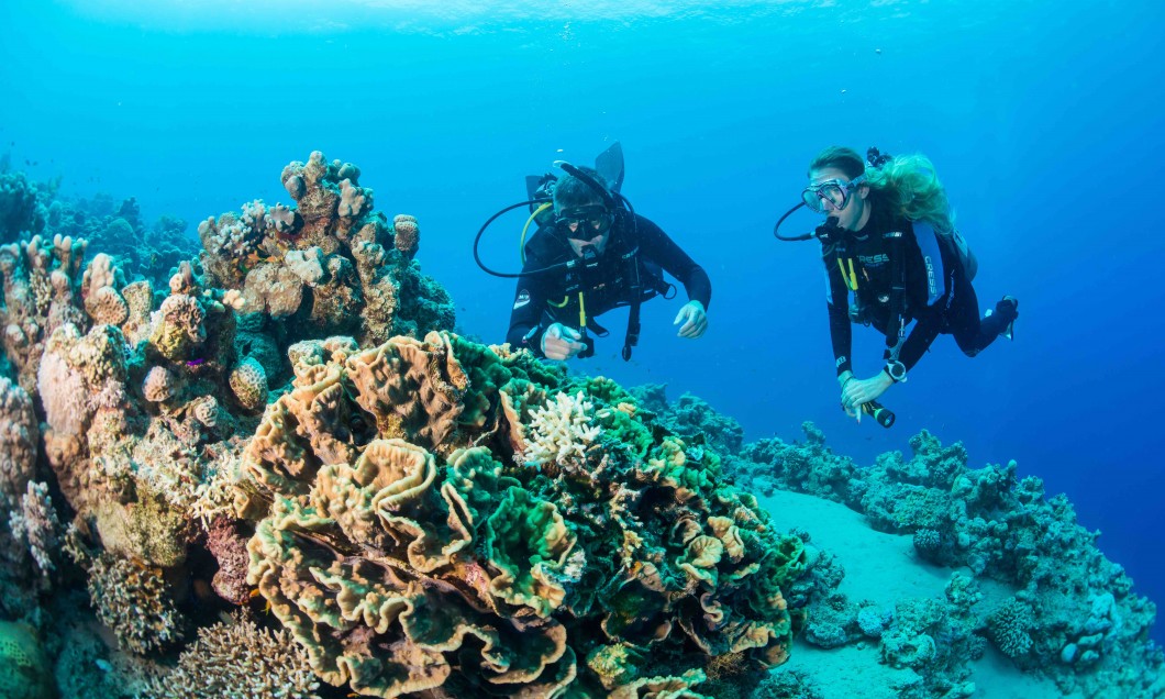 Scuba diving… sport extrem, terapie si team building